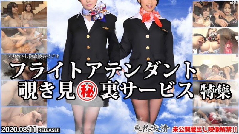 Tokyo-Hot-n1484 - TOKYO HOT Passionate Flight Attendant Peeping Secret Service Special Part 3