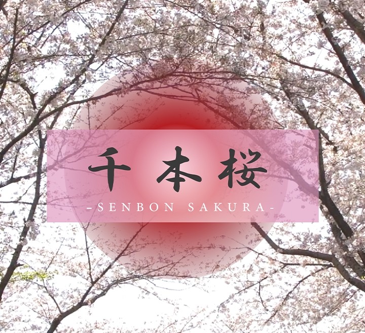 FC2-PPV-4296068 - [Idol voice that resonates in secret] A shy flower that blooms in the middle of winter.  - Beyond the tension lies a world that even